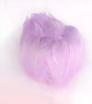Imagen del producto de Plumas de ganso, aproximadamente 7-12 cm, 5 g, aproximadamente 100 unidades, color lila