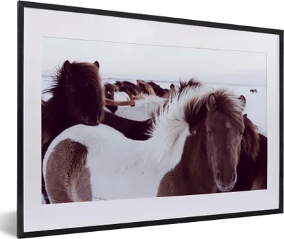 Produktbild von MuchoWow® MuchoWow® Gerahmtes Poster Pferde - Schnee - Island 60x40 cm - Poster mit zchwarzem Bilderrahmen - Schlafzimmer - Plakat in Rahmen - Drucken