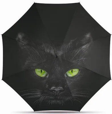 Produktbild von Happy Rain Mini AC Katze Regenschirm Taschenschirm Cat