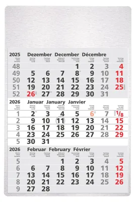 Produktbild von 2026 Güss 3-Monatswandkalender Metall