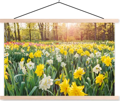 Produktbild von MuchoWow® Textilposter Narzisse - Farben - Frühling 120x80 cm mit holzfarbenen Rahmen - Aufhängeset