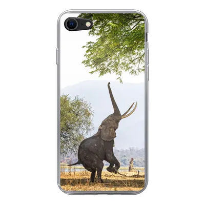 Produktbild von MuchoWow® Handyhülle Schutzhülle Hülle für iPhone 8 Elefant - Baum - Blätter Silikon Softcase Handy Hülle - Schutzhaube