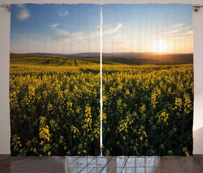 Produktbild von ABAKUHAUS Landschaft Rustikaler Vorhang, Sonnenuntergang Blumenfeld, Wohnzimmer Universalband Gardinen mit Schlaufen und Haken, 280 x 260 cm, Gelb Grün Blau