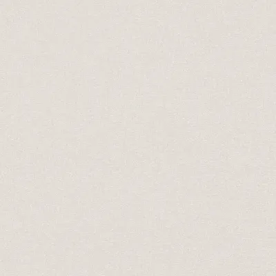 Produktbild von A.S. Creation | Terra | 389253 | Vliestapete | Einfarbig | 10.05 x 0.53 m | Beige | Wohnzimmer | Flur | Büro | Küche | Wohnräume