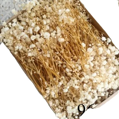 Image de Fleurs séchées, esthétique naturelle, décoration intérieure polyvalente, A