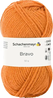 Produktbild von Schachenmayr Bravo, 50g Bernstein Handstrickgarne