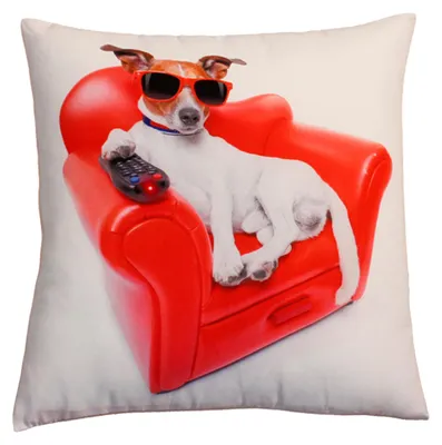 Produktbild von Kissenbezug Fotodruck Kissenhülle 30x30 cm Hund Couch Kissenhülle Kopfkissen