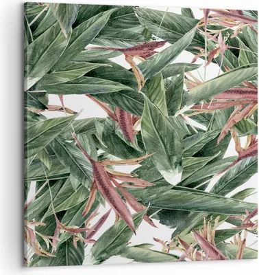 Produktbild von Bild auf Leinwand - Leinwandbild - Pflanze Blatt Blume - 60x60cm - Wand Bild - Wanddeko - Wandbilder - Leinwanddruck - Bilder - Kunstdruck - Wanddekoration - Leinwand bilder - Wandkunst - AC60x60-3844