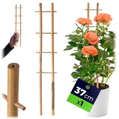 Obrázok produktu pre Bambusová opora pre rastliny - kvetinový záhon - pergola - 38 cm - robustná