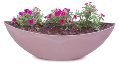 Produktbild von Große Pflanzschale oval 39 cm für draussen Dekoschale alt-rosa