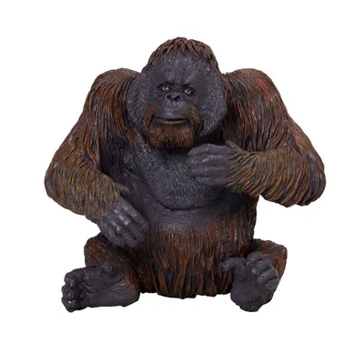 Obrázok produktu pre Mojo Fun Orangutan, 3 rok / roky, Wildlife, Oranžová, Hnedá, Polyvinylchlorid (PVC)