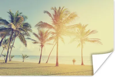 Produktbild von MuchoWow® Poster Meer - Palme - Sommer - Sonne - Strand 120x80 cm - Bilder