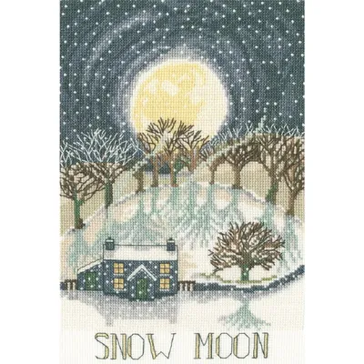 Produktbild von Bothy Threads Kreuzstich Stickpackung "Schneemond", Zählmuster, XDD4, 18x27cm