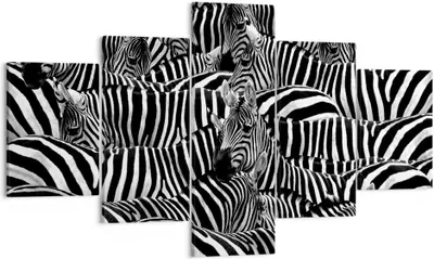 Produktbild von Bild auf Leinwand - Leinwandbild - Tiere Zebra Streifen - 125x70cm - Wand Bild - Wanddeko - Leinwanddruck - Bilder - Kunstdruck - Wanddekoration - Leinwand bilder - Wandkunst - EA125x70-0340
