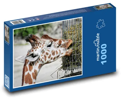 Obrázek produktu pro martinpuzzle - Puzzle 1000 - Žirafa - divoké zvíře, příroda
