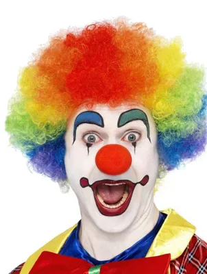 Produktbild von Rainbow Wig / Regenbogen Perücke