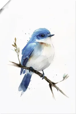 Produktbild von ARTland Poster Aquarell Berghüttensänger Größe: 20x30 cm