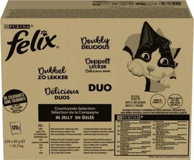 A cardboard box containing multiple cat food pouches, with a cartoon cat illustration.
