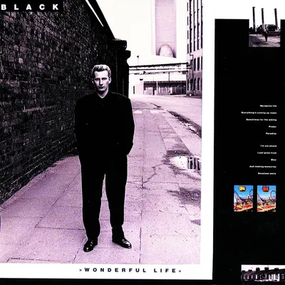Obrázok produktu pre Black (Colin Vearncombe) (1962-2016): Wonderful Life
