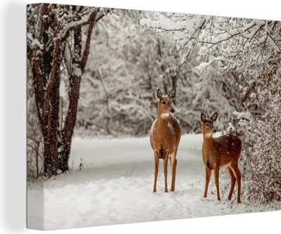 Produktbild von MuchoWow® - Leinwandbilder - Hirsche - Schnee - Bäume, Wandbild, Wanddeko Bilder Wohnzimmer, 60x40 cm