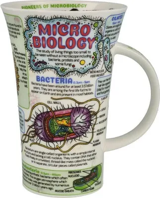 Produktbild von Dunoon Jumbobecher Glencoe Microbiology Mikrobiologie für 500ml Formano