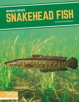 Immagine prodotto di Snakehead Fish