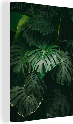 Produktbild von MuchoWow® - Leinwandbilder - Blätter - Monstera - Muster - Mädchen - Kinder - Jungen, Wandbild, Wanddeko Bilder Wohnzimmer, 60x90 cm