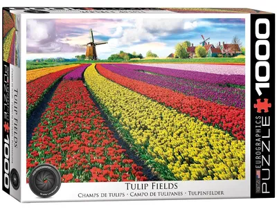 Produktbild von EUROGRAPHICS Tulpenfeld-Puzzle (HDR) 1000 Teile