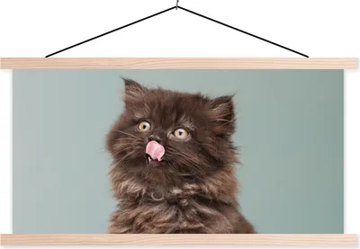 Produktbild von MuchoWow® Textilposter Kätzchen - Perserkatze - Zunge - Mädchen - Kinder - Jungen - Kinder 60x30 cm mit holzfarbenen Rahmen - Dekoration