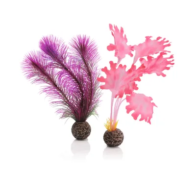 Produktbild von biOrb Seetang Set klein pink (46081)