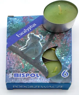 Produktbild von Teelichter 6er Packung Eucalyptus-Duft