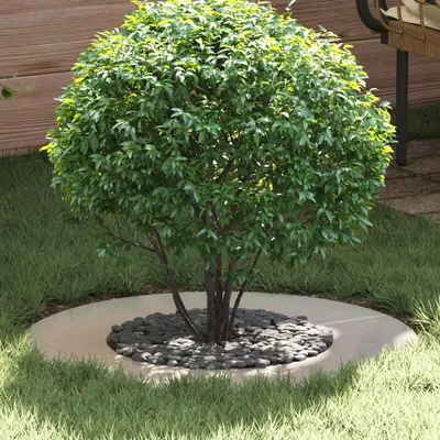 Immagine prodotto di vidaXL adatto all'anello ad albero piatto in argento Ø40 / 70 cm in acciaio inox