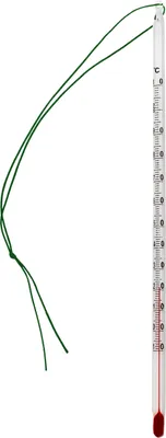 Zdjęcie produktu dla Szklany termometr do herbaty ze sznurkiem i plastikową osłoną . 24 cm termometr do herbaty Zakres temperatury do 110 °C . Woda do herbaty , Woda , Termometr szklany Wyprodukowano w Niemczech