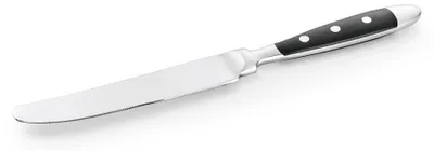 Produktbild von Menümesser mit Kunststoffgriff 21,5 cm, Bistro, Chromstahl 18/0