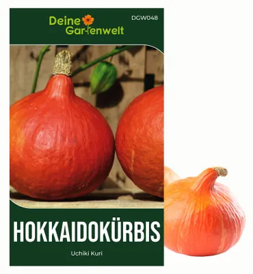 Produktbild von Hokkaido Kürbis Uchiki Kuri Samen - Cucurbita maxima - Kürbissamen - Gemüsesamen - Saatgut für 8 Pflanzen