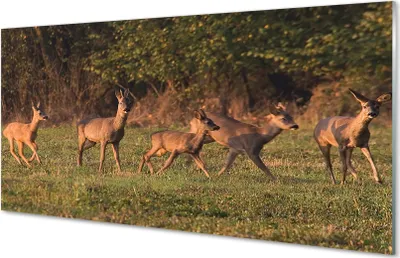 Produktbild von Glasbilder 120x60 Wandkunst Deer Golf Sonnenaufgang