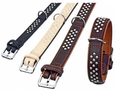 Produktbild von Karlie Rondo Halsband unterlegt mit Rundkopfnieten - Schwarz - 35mm/57cm