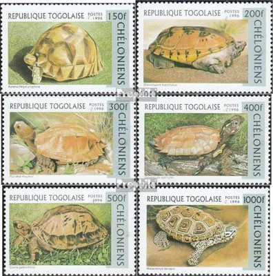 Produktbild von Briefmarken Togo 1996 Mi 2480-2485 (kompl.Ausg.) postfrisch Schildkröten