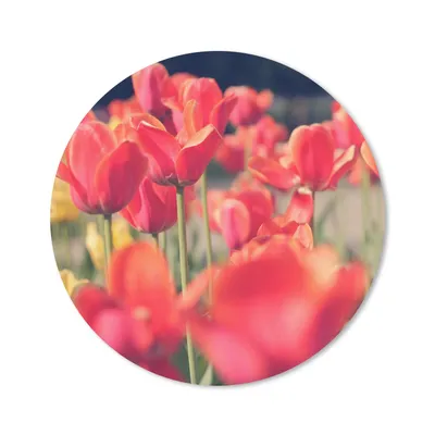 Produktbild von MuchoWow® Mauspad Mousepad Tulpen - Blumen - Natur 20x20 cm - Mousepads - Maus Mat - Pad - Mausunterlage - Schreibtischmatte