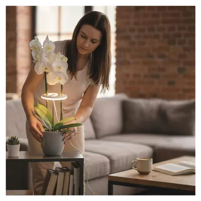 LED GROW pěstební lampa 8 W, časovač, stmívatelná, bílá