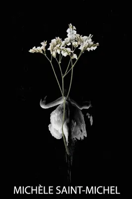 Produktbild von Grief Is an Origami Swan