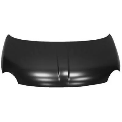 Produktbild von Diederichs Motorhaube Fiat 500, 07->>