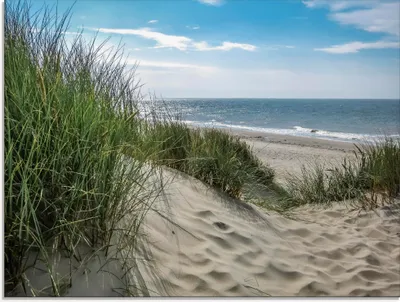 Produktbild von ARTland Glasbild Dünenlandschaft im Sommer an der Nordsee Größe: 60x45 cm