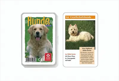 Immagine prodotto di Cani da quartetto ASS, 1 set