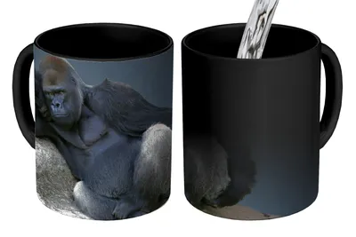 Obrázek produktu pro MuchoWow® Kouzelný pohár Gorila odpočívající na skále 350 ml Barva měnící se pohár Dárkový nápad - foto hrnek