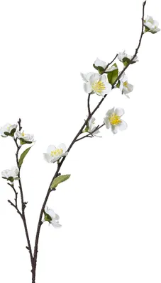 Produktbild von Künstlicher Kirschblütenzweig 70cm Weiß