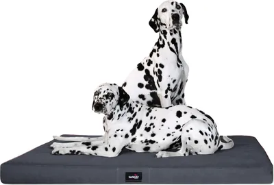 Produktbild von tierlando® Orthopädische Hundematratze ALICE VISCO Hundematte Hundebett S - XXL - Größe: 80x60cm | Farbe: 02 Graphit