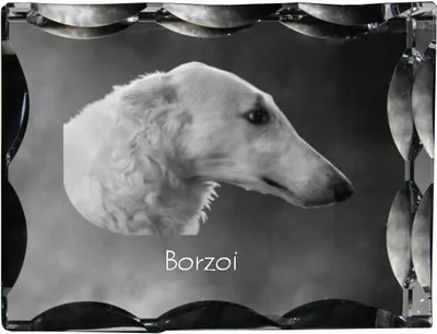 Produktbild von Barsoi Kristallrahmen mit Hund Art-Dog