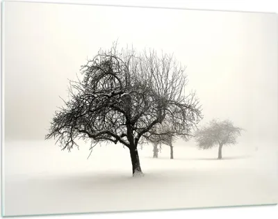 Produktbild von Bilder auf glas - Einteilig - Bäume Schnee Nebel - 120x80cm - Glasbilder - Wandbilder - Bilder - zum Aufhängen bereit - Wanddekoration aus Glas - Glas Bilder - Wandbild auf Glas - GAA120x80-4136