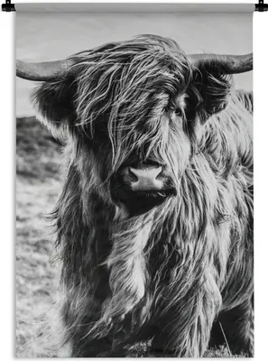 Produktbild von MuchoWow® Wandteppich Wandbehang Schottischer Highlander - Natur - Kuh - Schwarz - Weiß 90x135 cm Tapisserie Dekoration Wandtuch - Baumwolle - Wandskulptur
